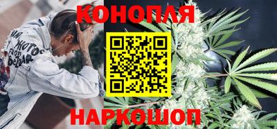 гашик Гатчина