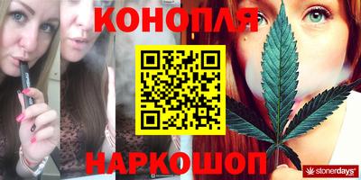 гашик Гатчина