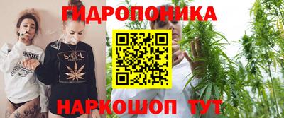 ПСИЛОЦИБИНОВЫЕ ГРИБЫ Гай