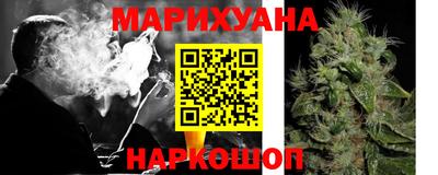 гашик Гатчина