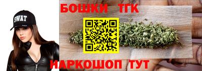 гашик Гатчина