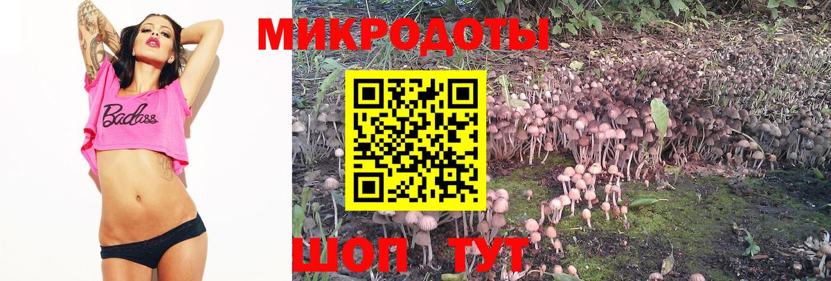 где найти   Вход с VPN  Ноябрьск  Псилоцибиновые грибы Cubensis 