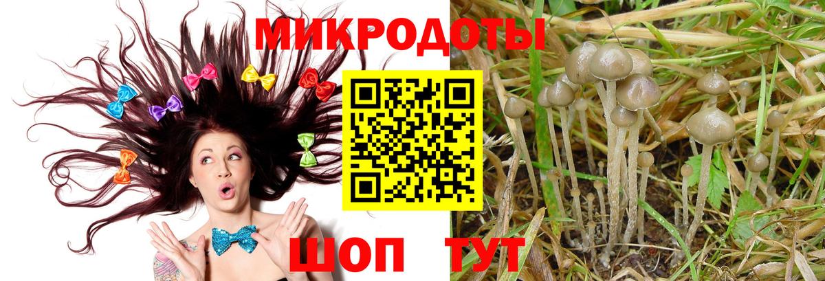 Псилоцибиновые грибы прущие грибы Ноябрьск